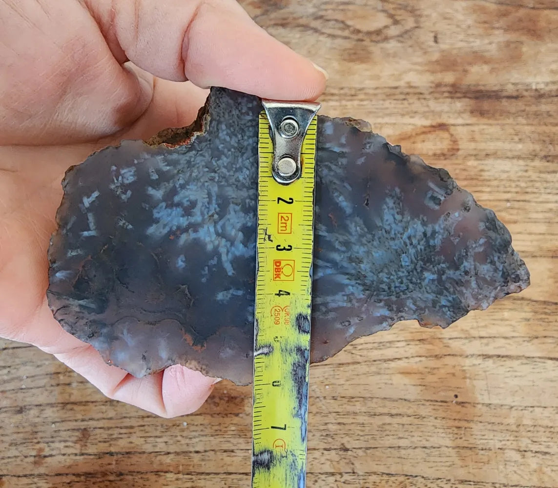 Sagenite Agate