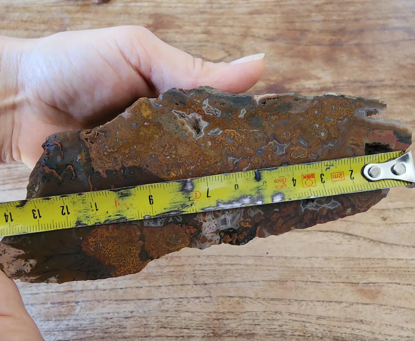 Plume Agate Pair