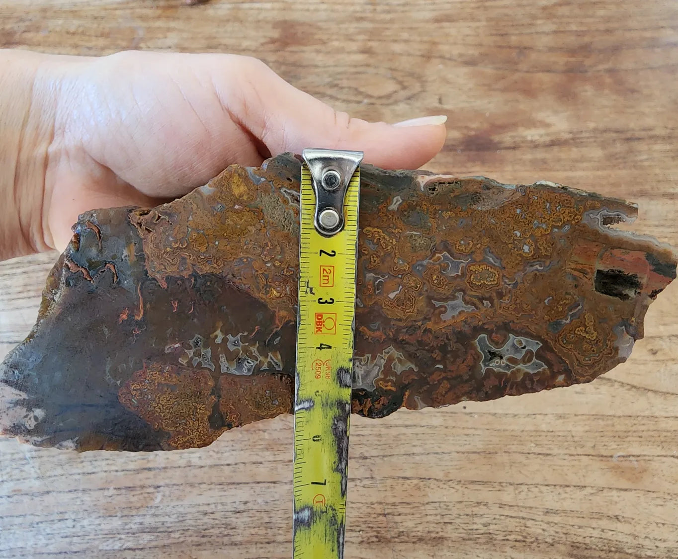 Plume Agate Pair