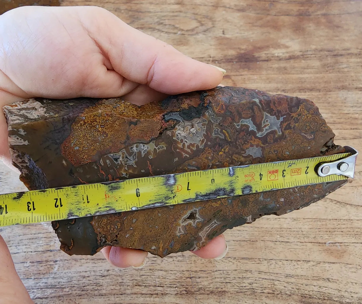 Plume Agate Pair