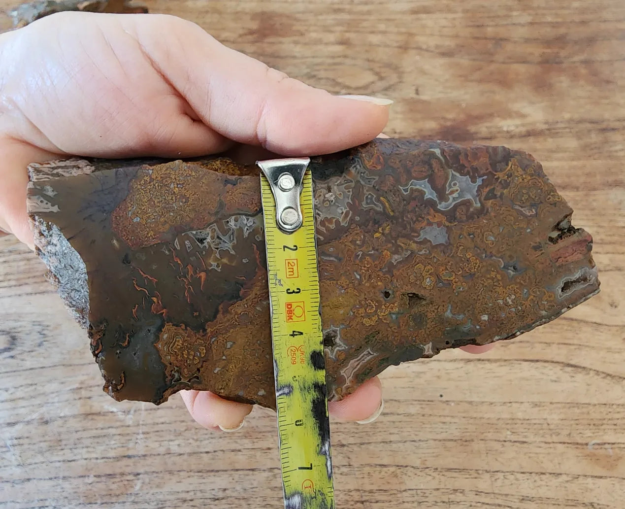 Plume Agate Pair