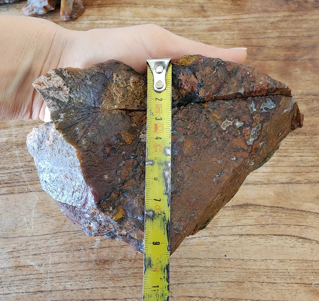Plume Agate Pair