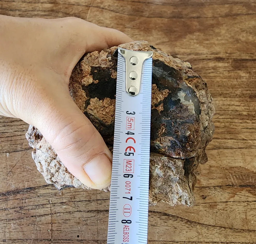 Face Agate Thunderegg