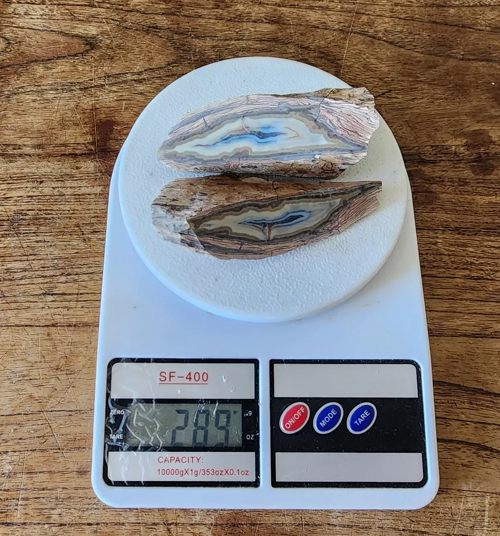 Banded Rhyolite Agate