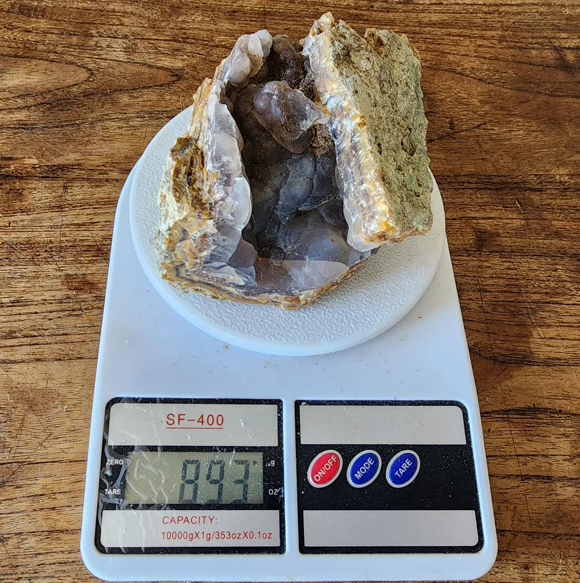 Agatized Petrified Wood