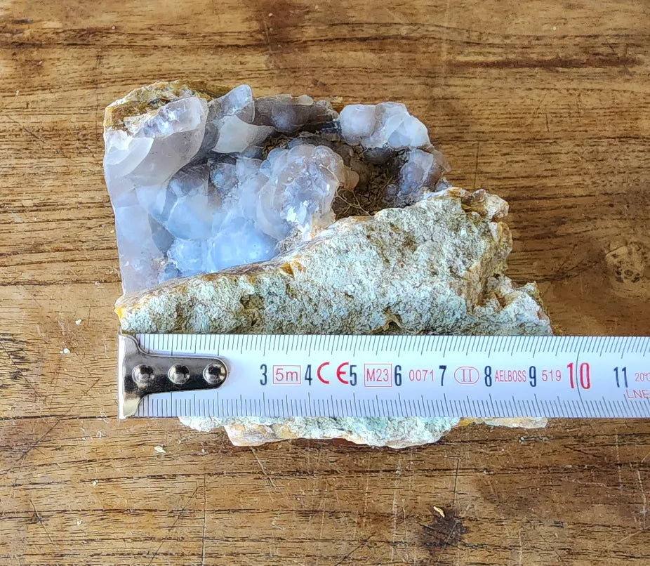 Agatized Petrified Wood