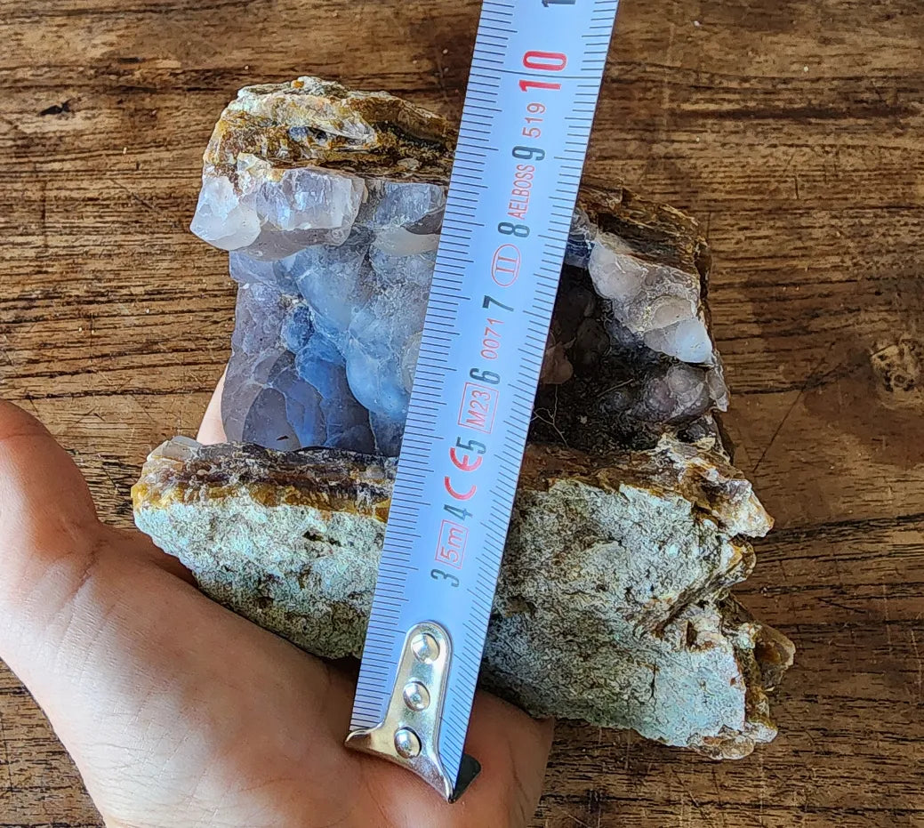 Agatized Petrified Wood