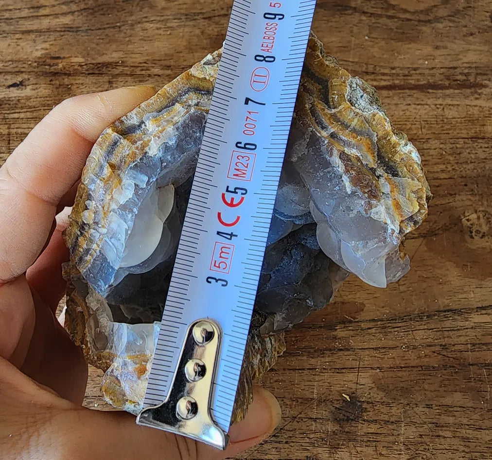 Agatized Petrified Wood