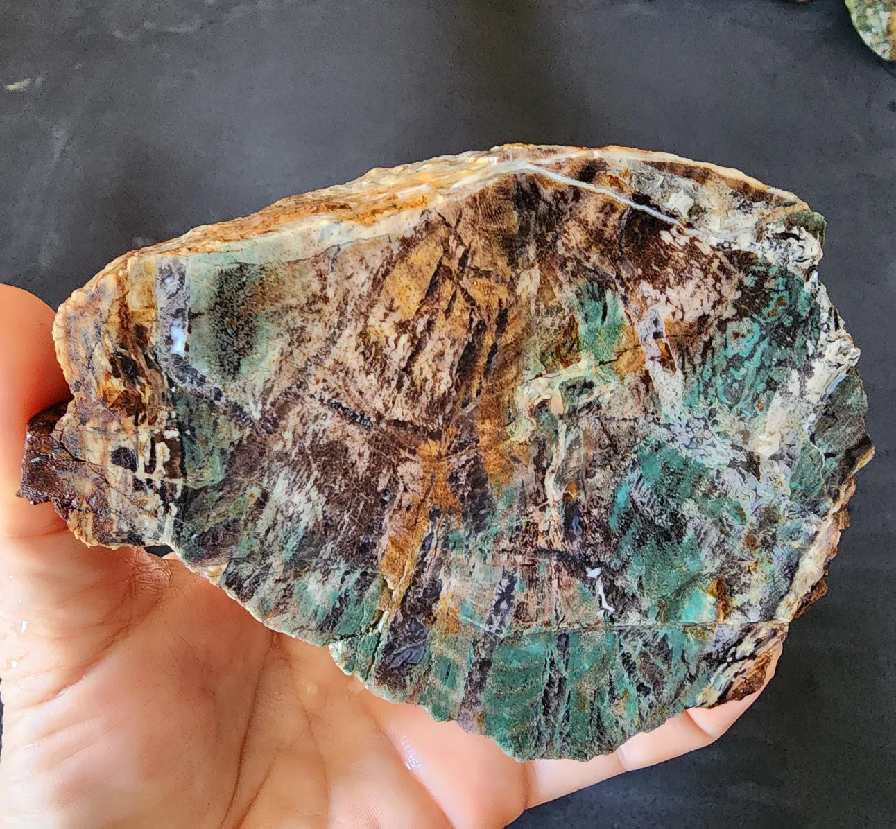 Colla Wood Slab