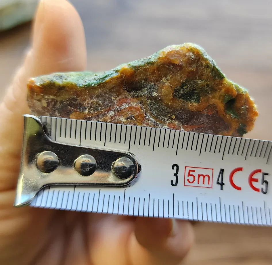 Agatized Wood - Raw Limb Casts (10.37 oz)