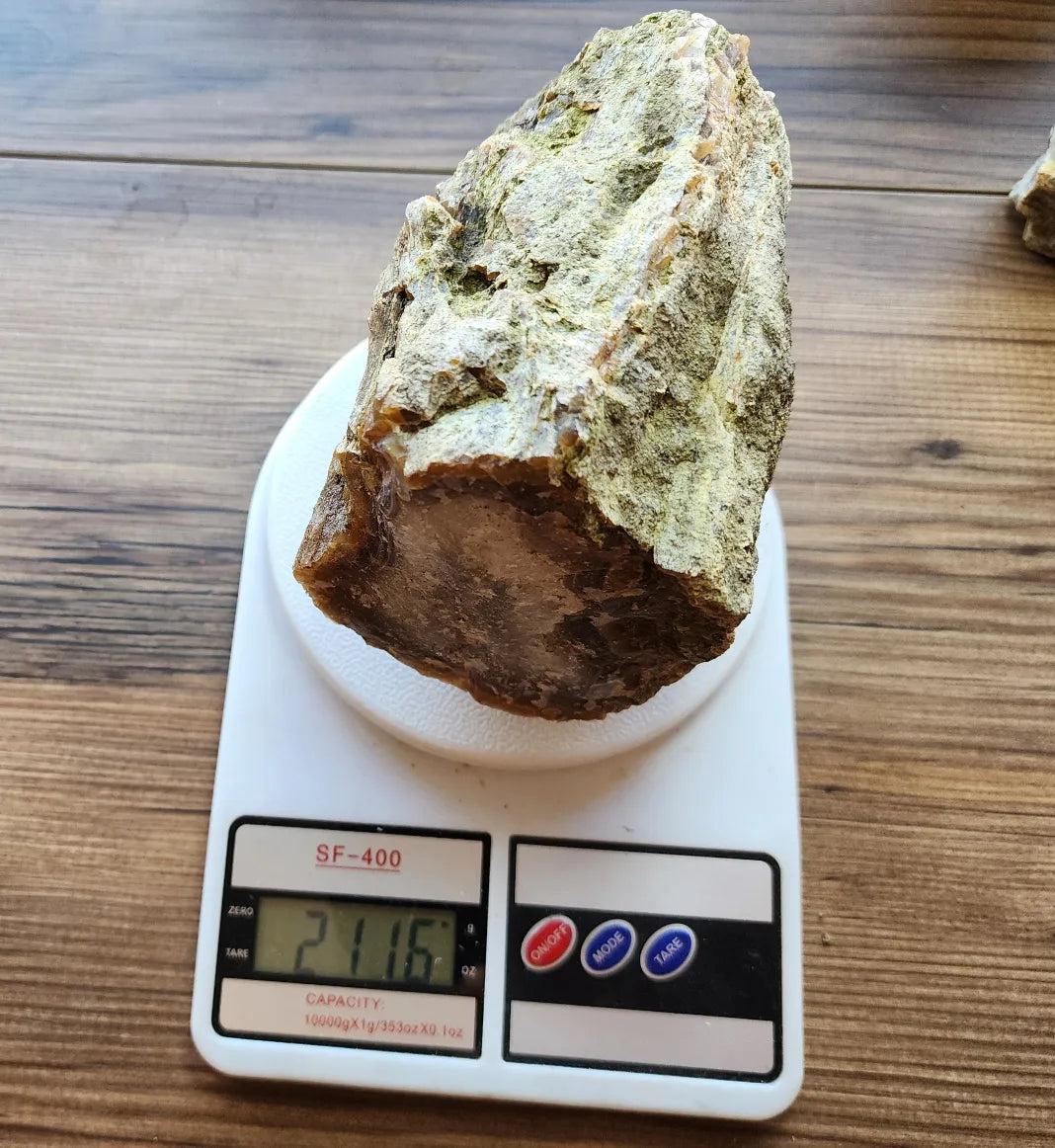 Agatized Wood Log : 4.6 lbs