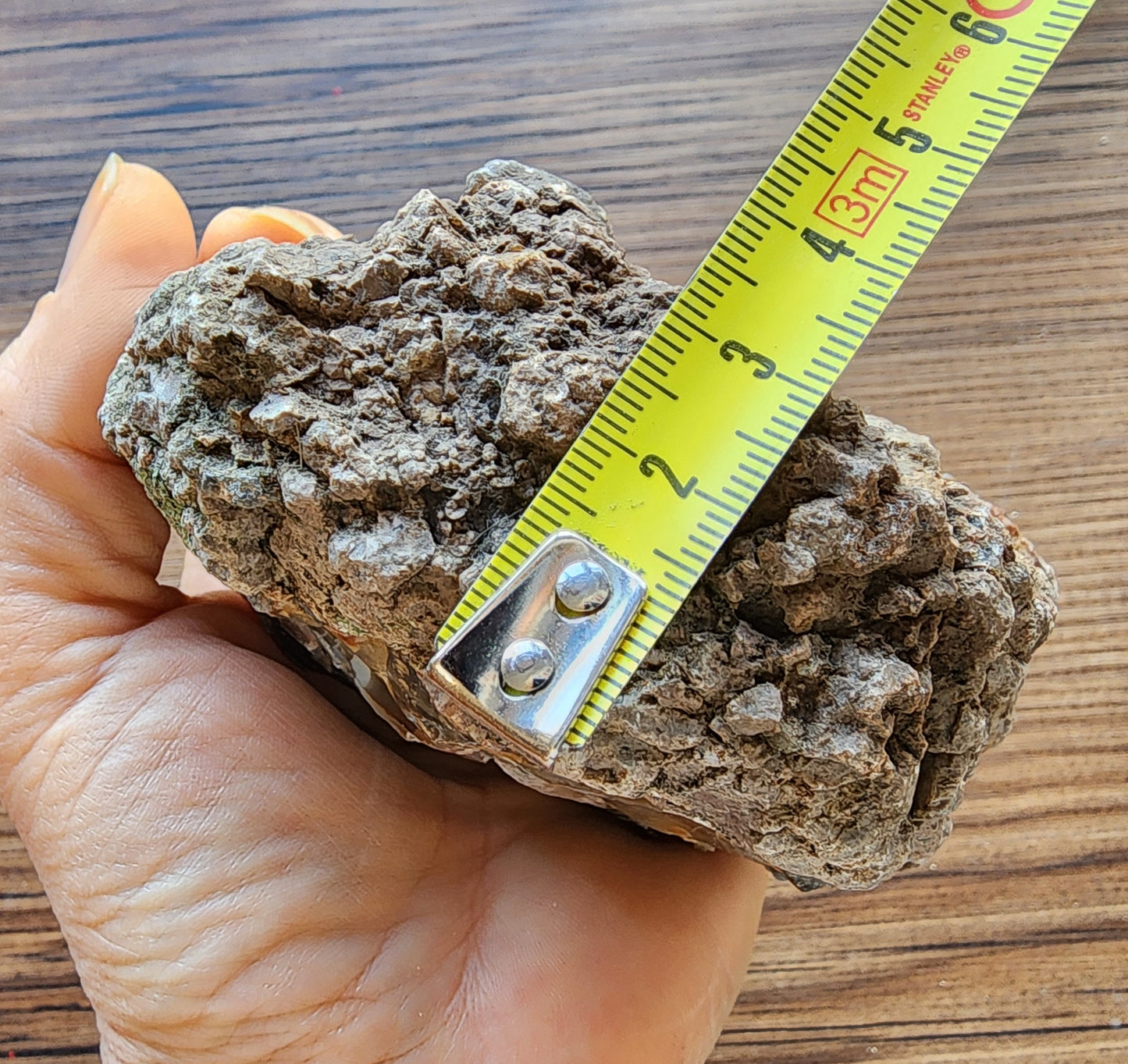 Uncut Thunder Egg - Banded Agate