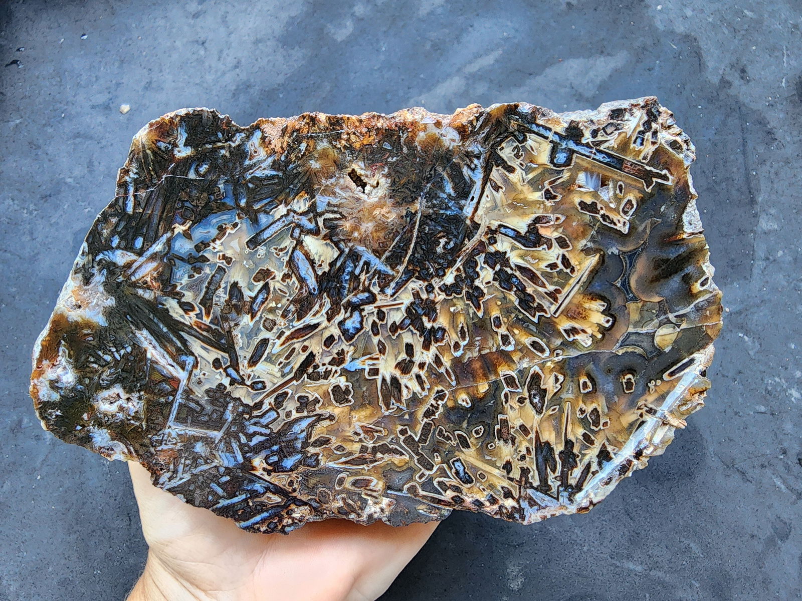 Bulk Agate Slabs - Big Agates - #tag1# - #tag2# - #tag3# - #tag4#