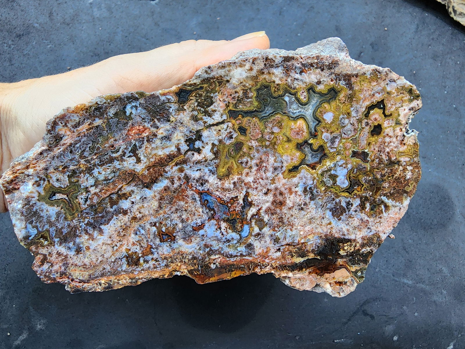 Bulk Agate Slabs - Big Agates - #tag1# - #tag2# - #tag3# - #tag4#