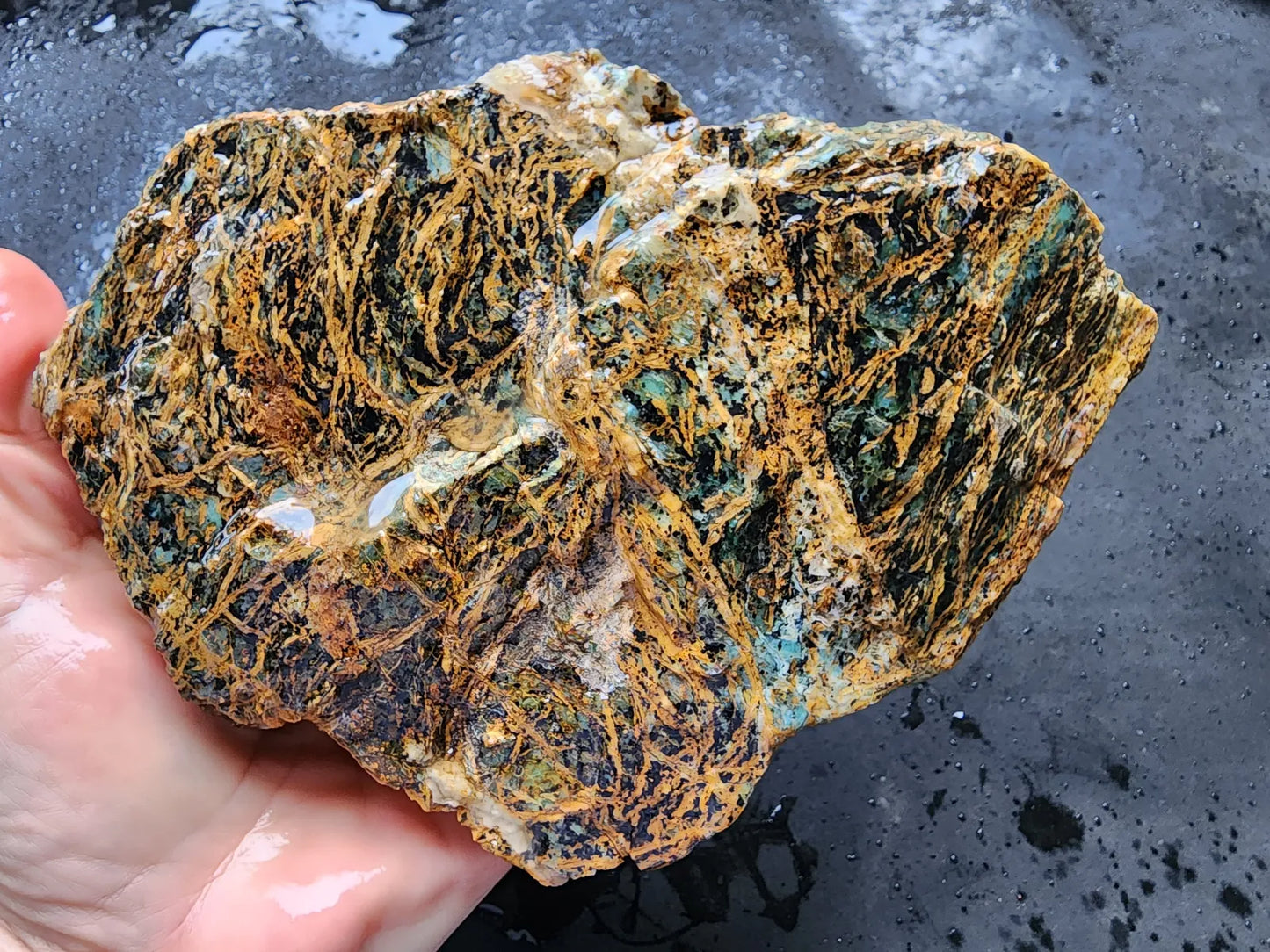 Chrysocolla Slab