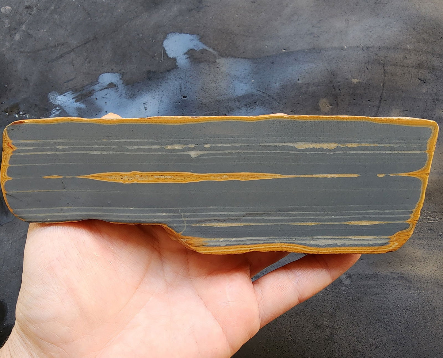 Decorative Jasper Pair - We❤️Rocks