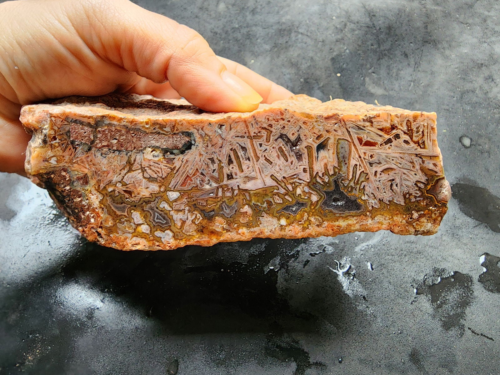 Decorative Rock - We❤️Rocks