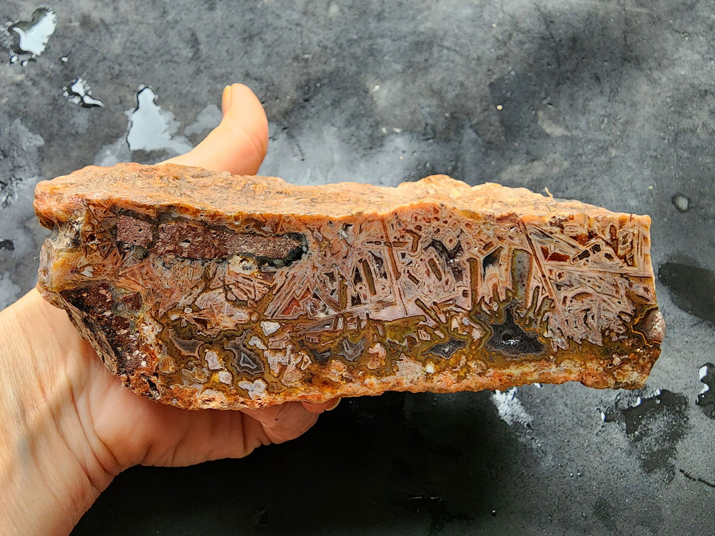 Decorative Rock - We❤️Rocks