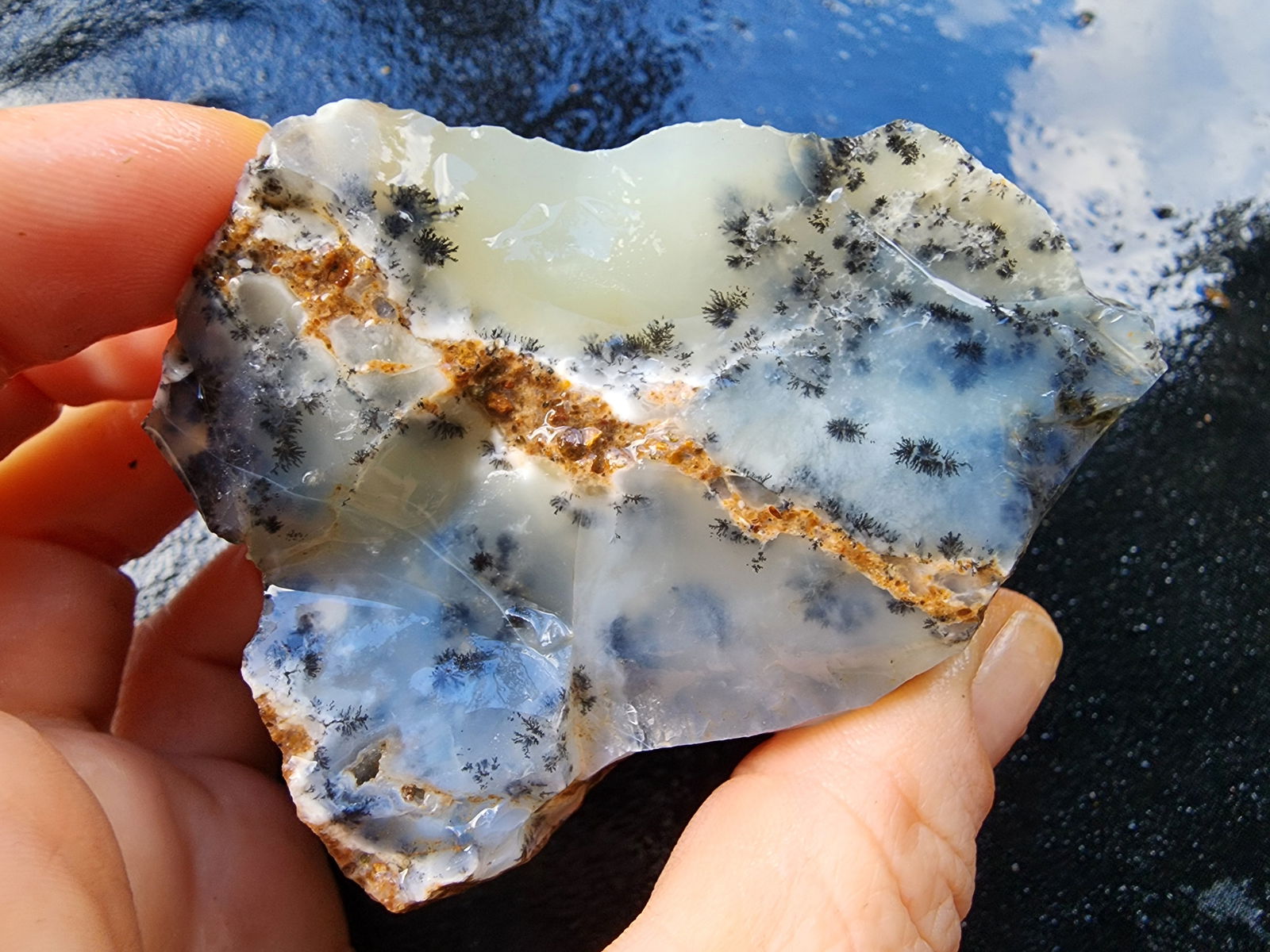 Dendritic Agate Nodules 5.5 lbs - We❤️Rocks