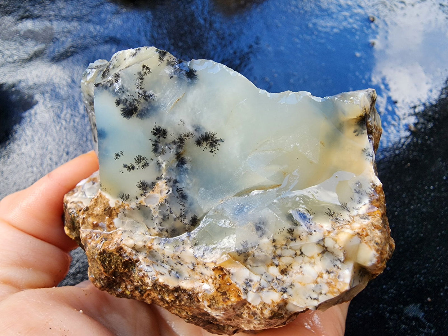 Dendritic Agate Nodules 5.5 lbs - We❤️Rocks