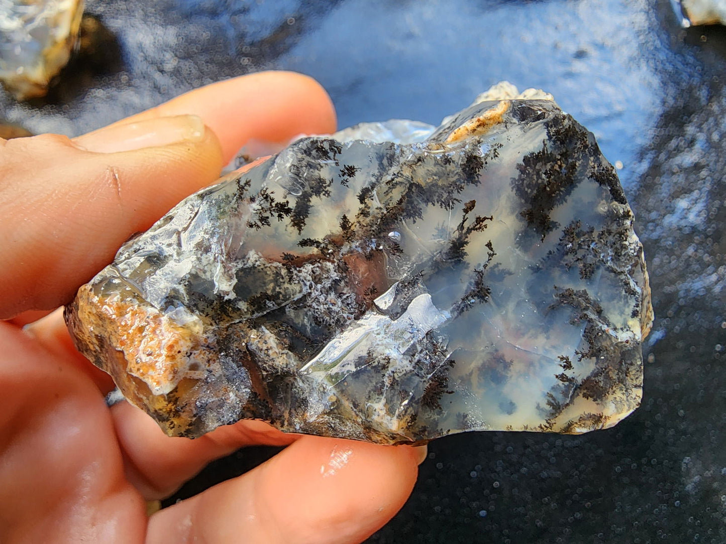 Dendritic Agate Nodules 5.5 lbs - We❤️Rocks