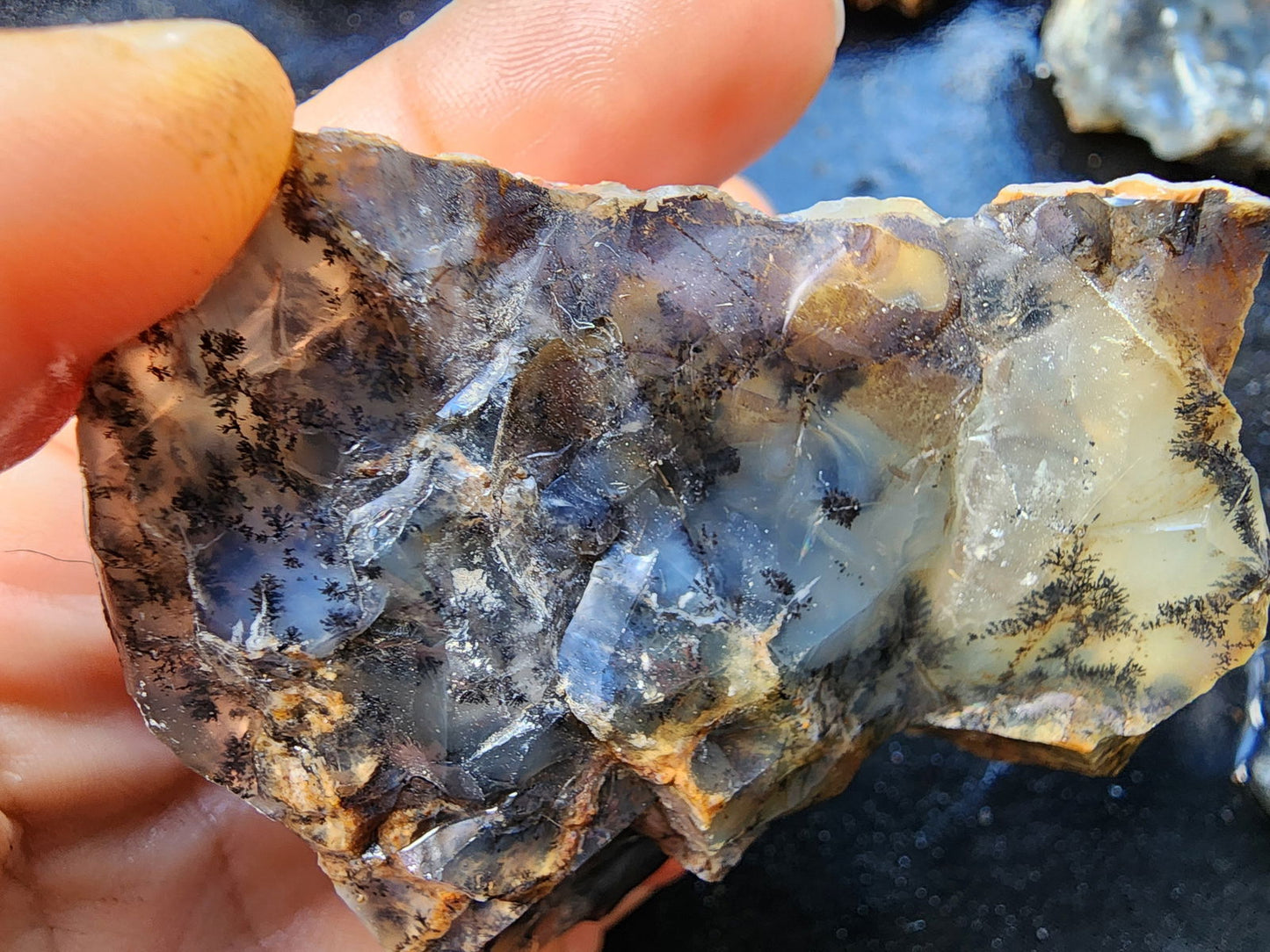 Dendritic Agate Nodules 5.5 lbs - We❤️Rocks