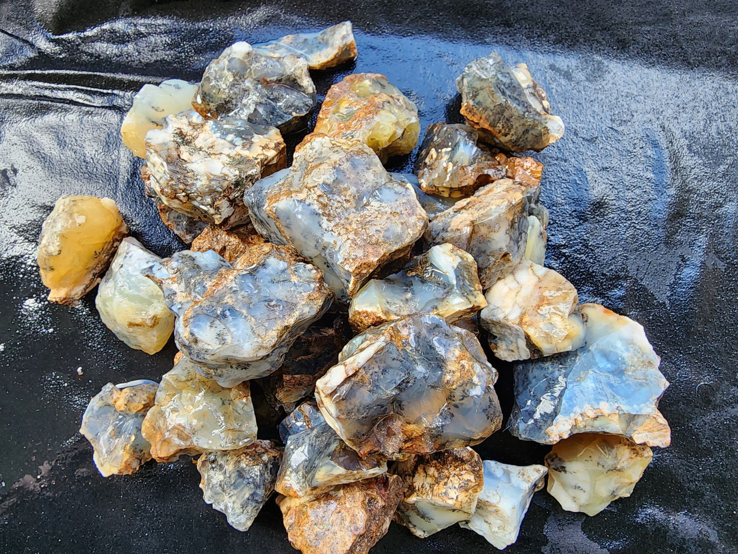 Dendritic Agate Nodules 5.5 lbs - We❤️Rocks