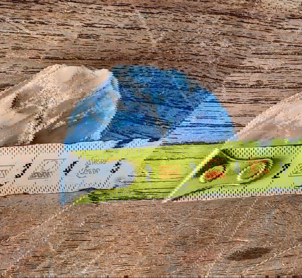 Dendritic Agate Nodules 5.5 lbs - We❤️Rocks