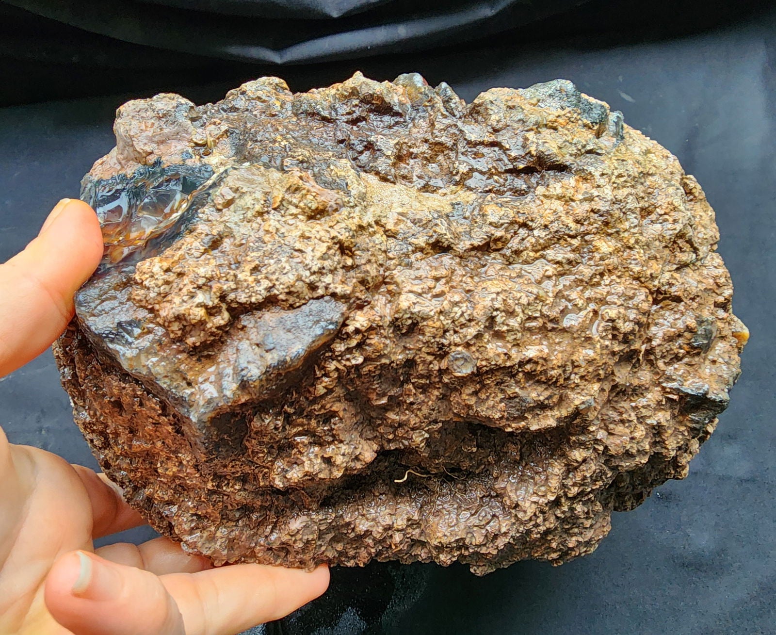 Huge Botryoidal Thunder Egg - Geode - We❤️Rocks