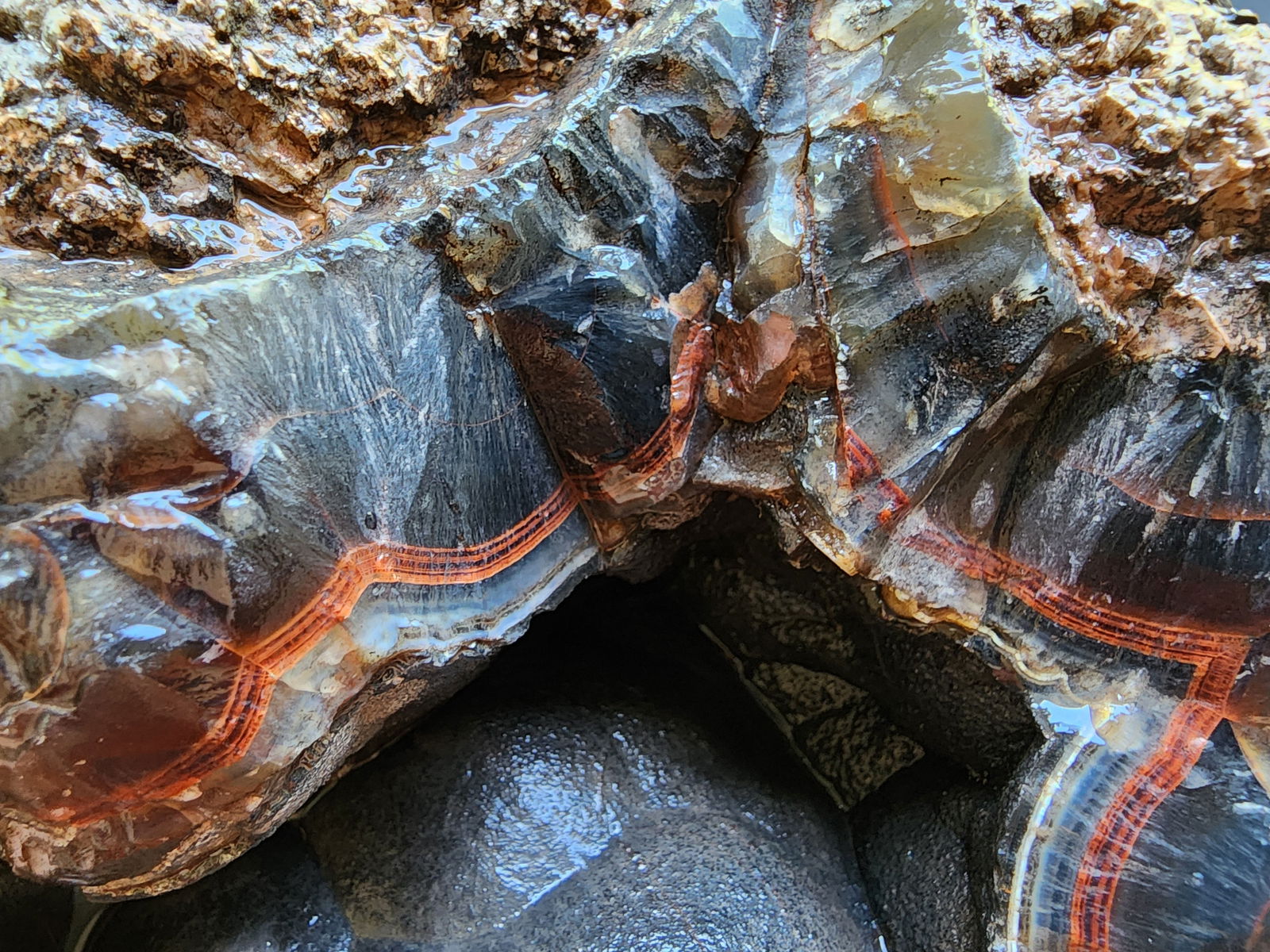 Huge Botryoidal Thunder Egg - Geode - We❤️Rocks
