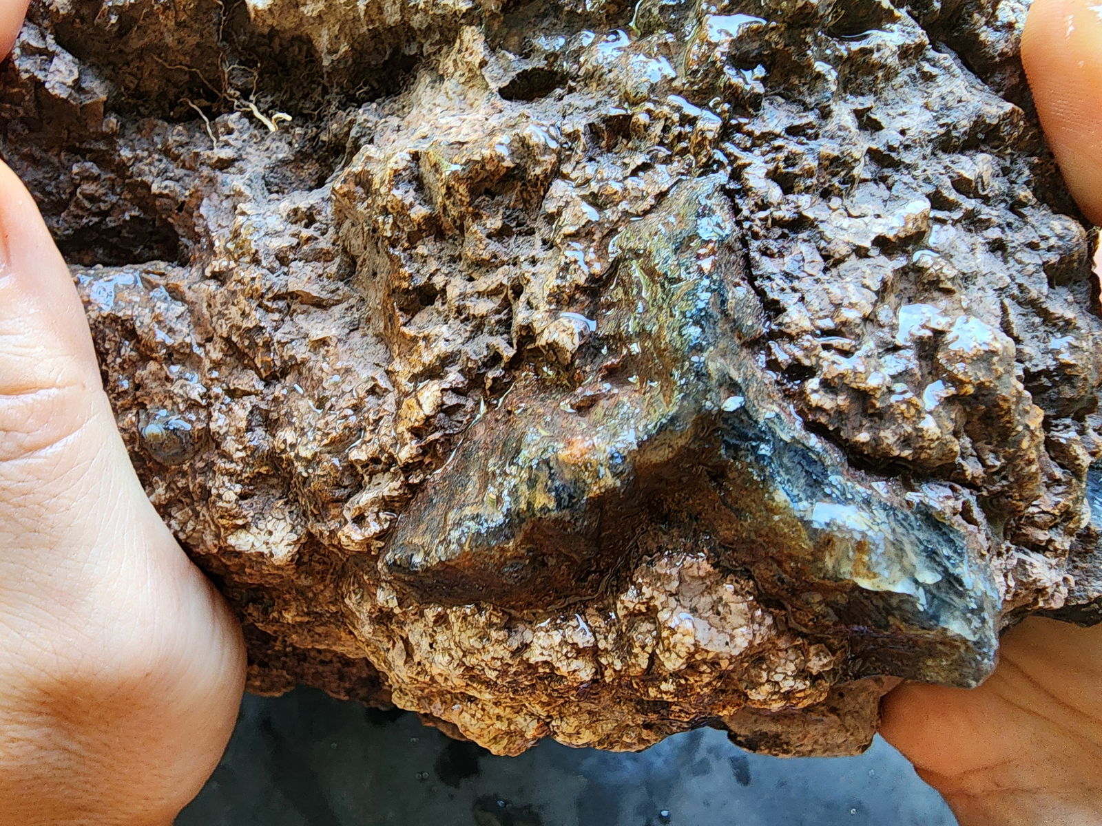 Huge Botryoidal Thunder Egg - Geode - We❤️Rocks