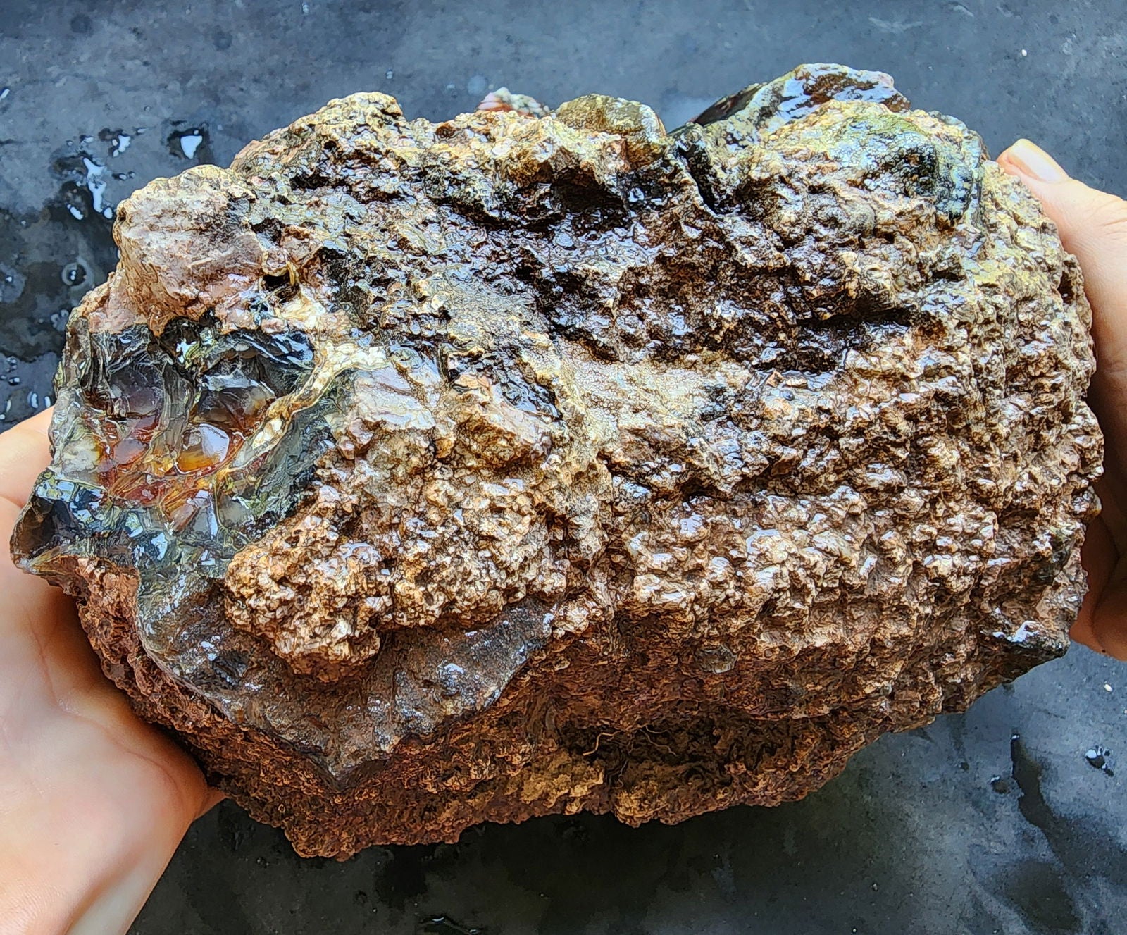 Huge Botryoidal Thunder Egg - Geode - We❤️Rocks