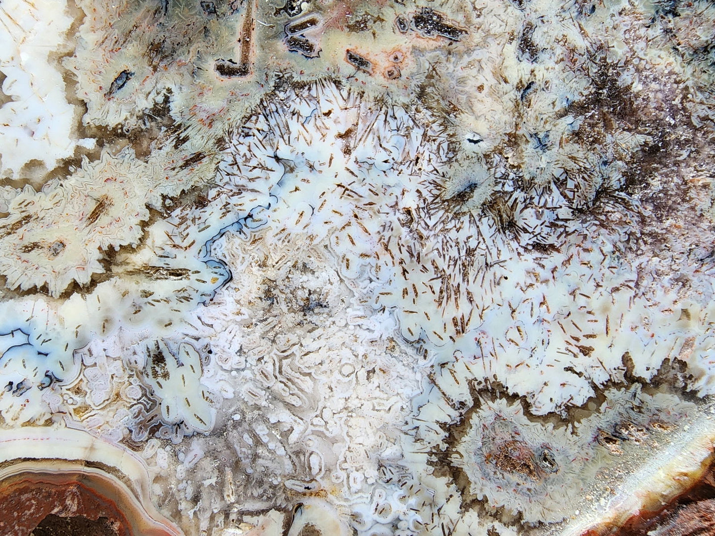 Large Decorative Healing Stone - #tag1# - #tag2# - #tag3# - #tag4#