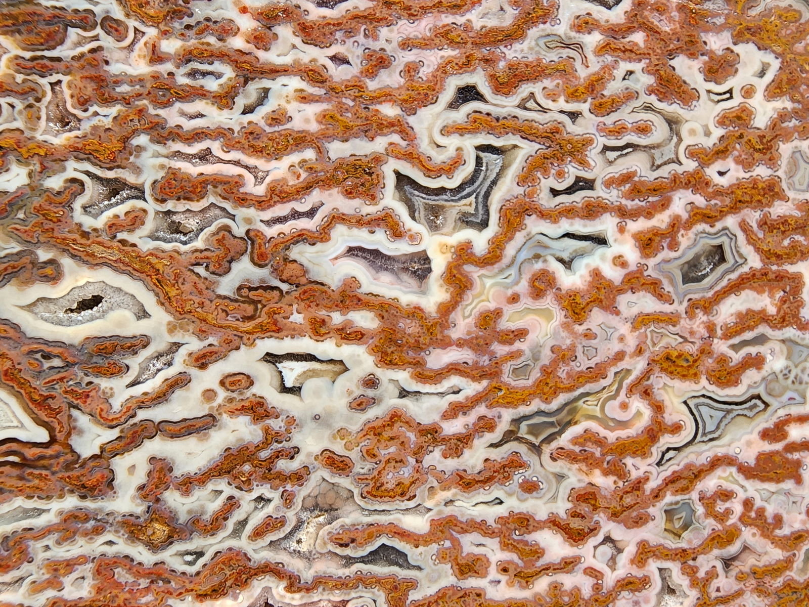 Plume Agate Decor - #tag1# - #tag2# - #tag3# - #tag4#