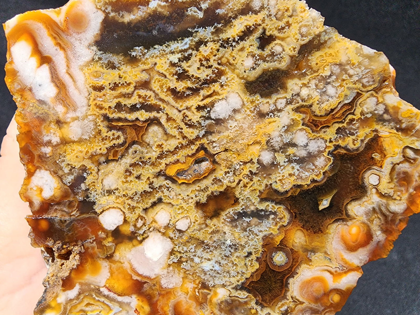 Plume Agate Pair - #tag1# - #tag2#