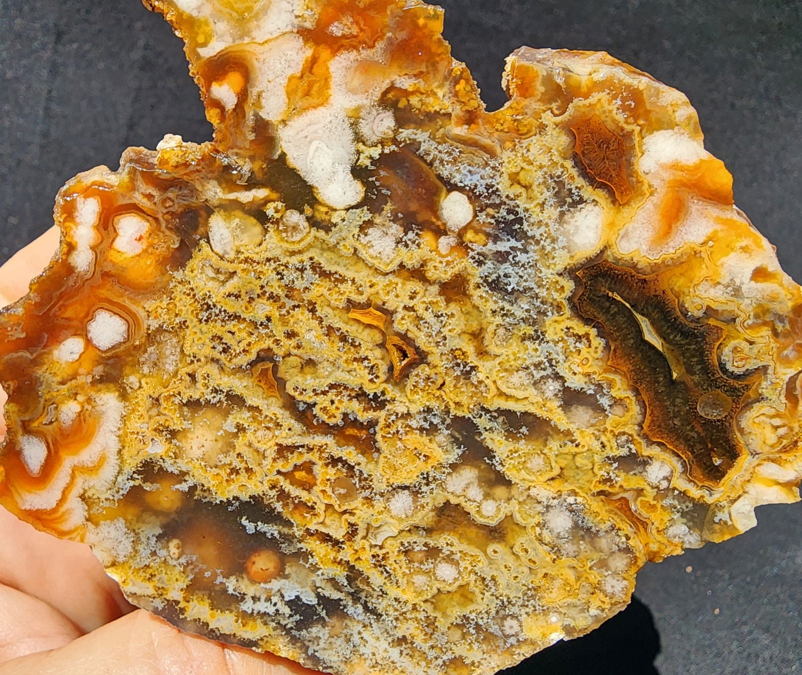 Plume Agate Pair - #tag1# - #tag2#