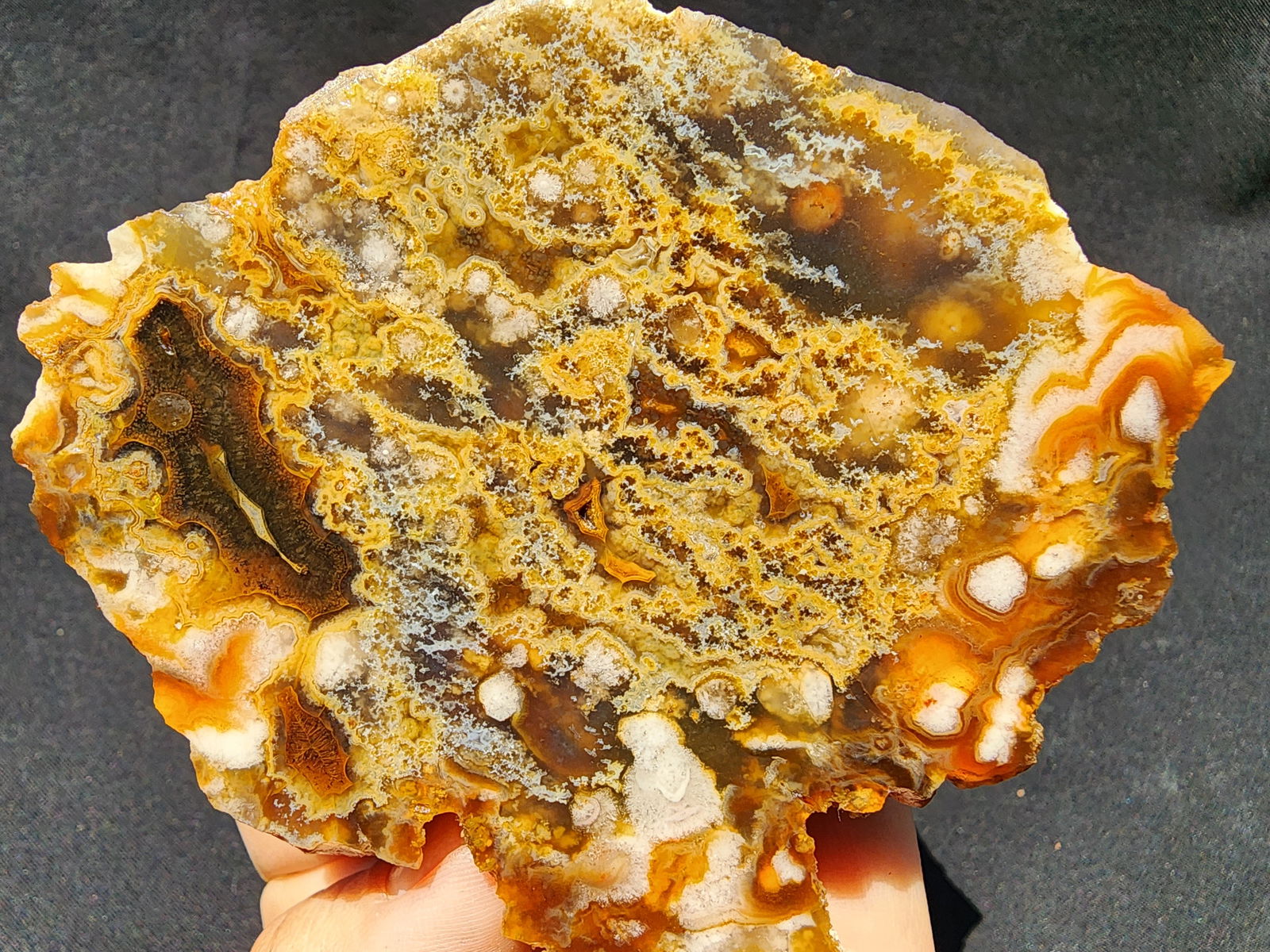 Plume Agate Pair - We❤️Rocks