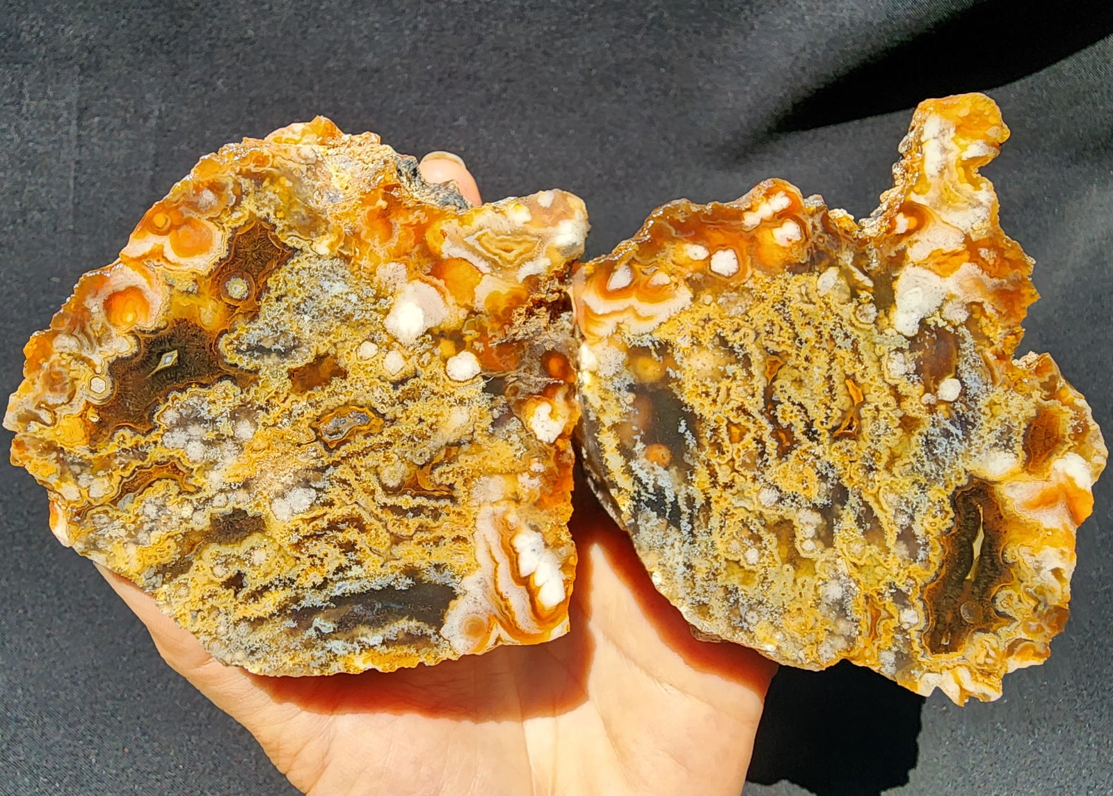 Plume Agate Pair - We❤️Rocks