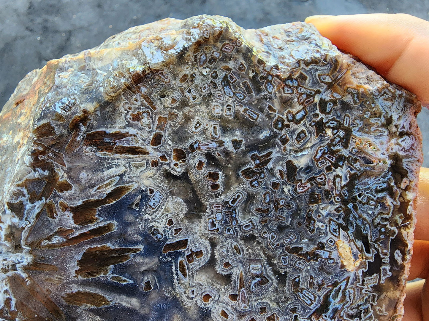 Raw Agate for Lapidary - We❤️Rocks