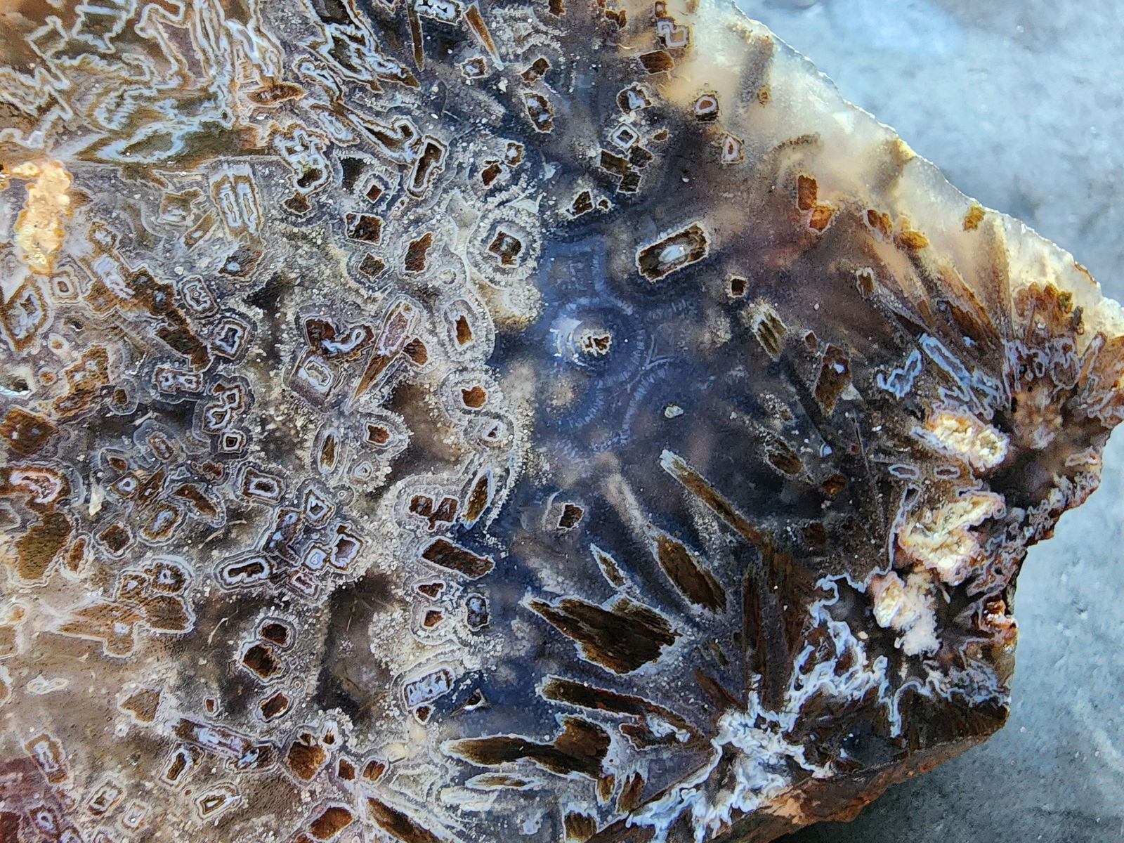 Raw Agate for Lapidary - We❤️Rocks