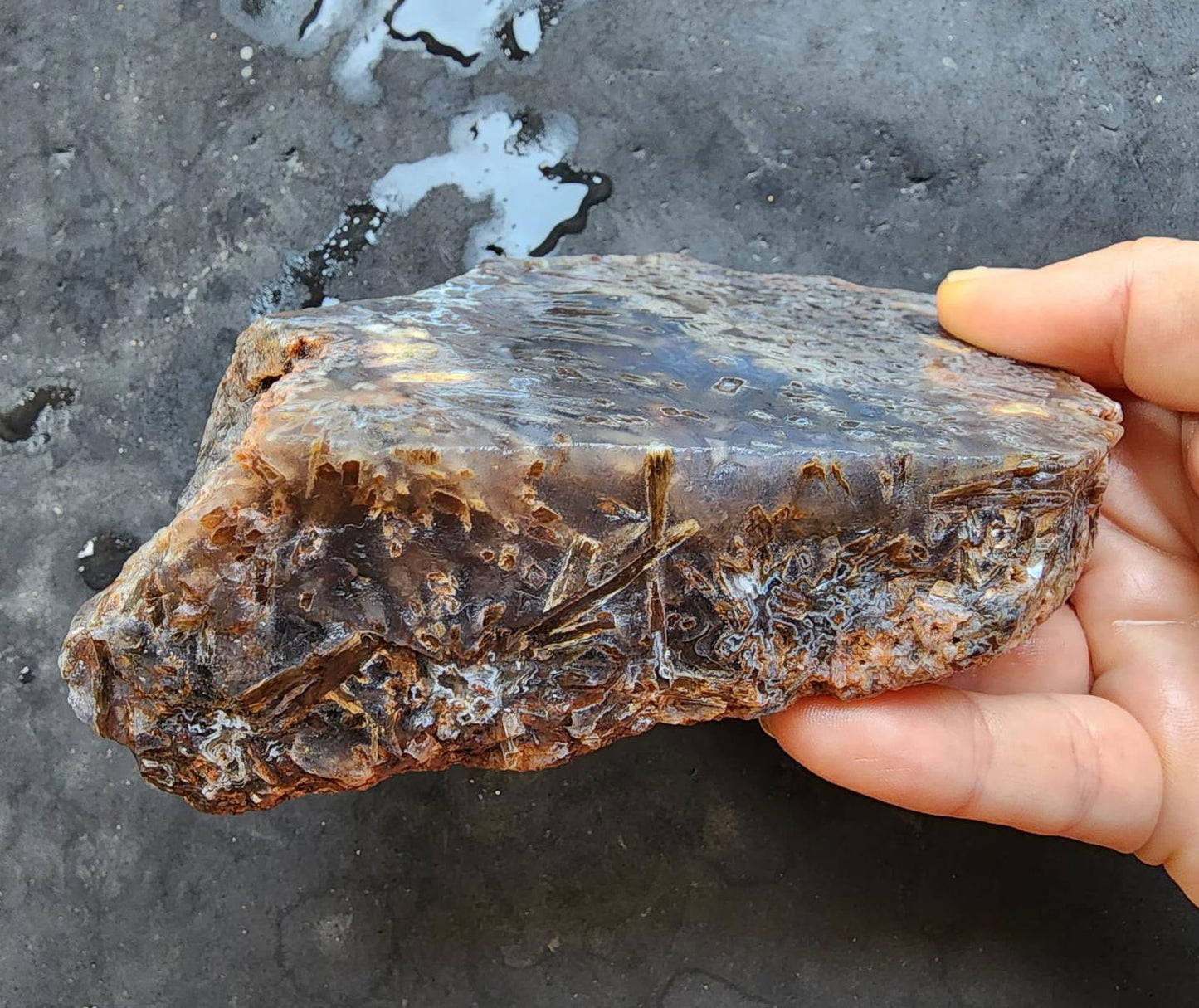 Raw Agate for Lapidary - We❤️Rocks