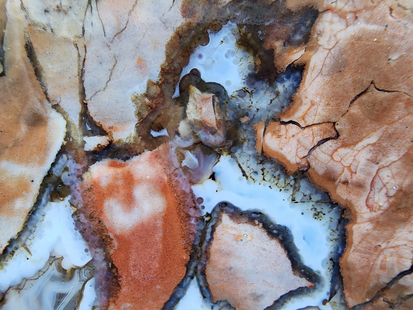 Thunderegg - Decorative Rock - We❤️Rocks