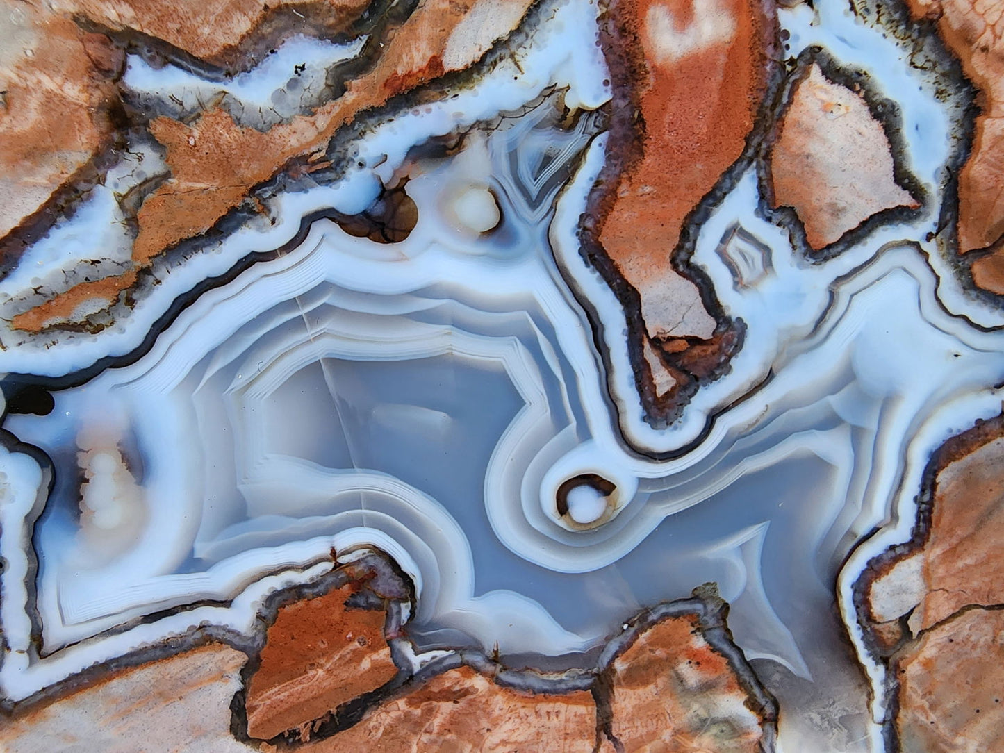 Thunderegg - Decorative Rock - We❤️Rocks