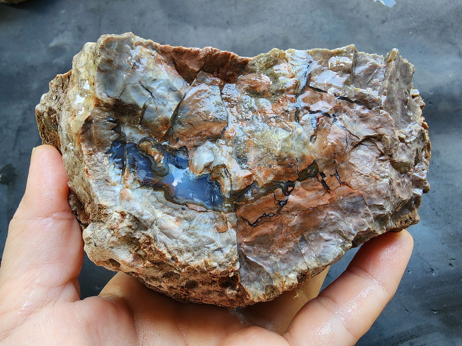 Thunderegg - Decorative Rock - We❤️Rocks