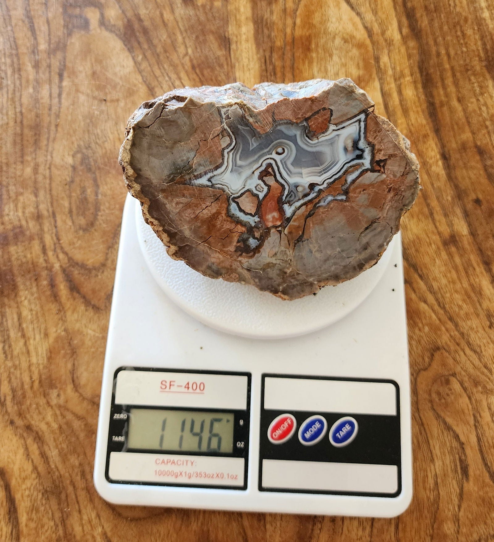 Thunderegg - Decorative Rock - We❤️Rocks