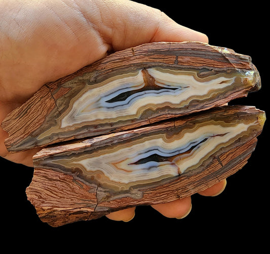 Banded Rhyolite Agate