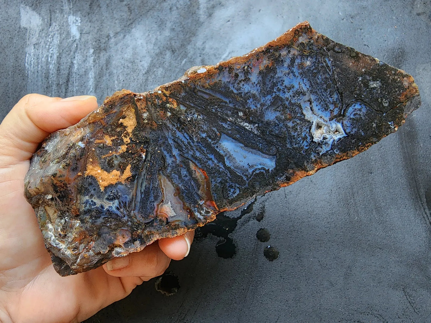 Dendritic Blue Agate