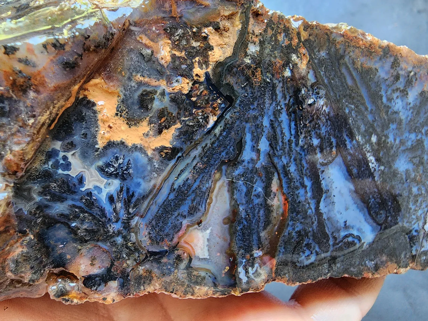 Dendritic Blue Agate