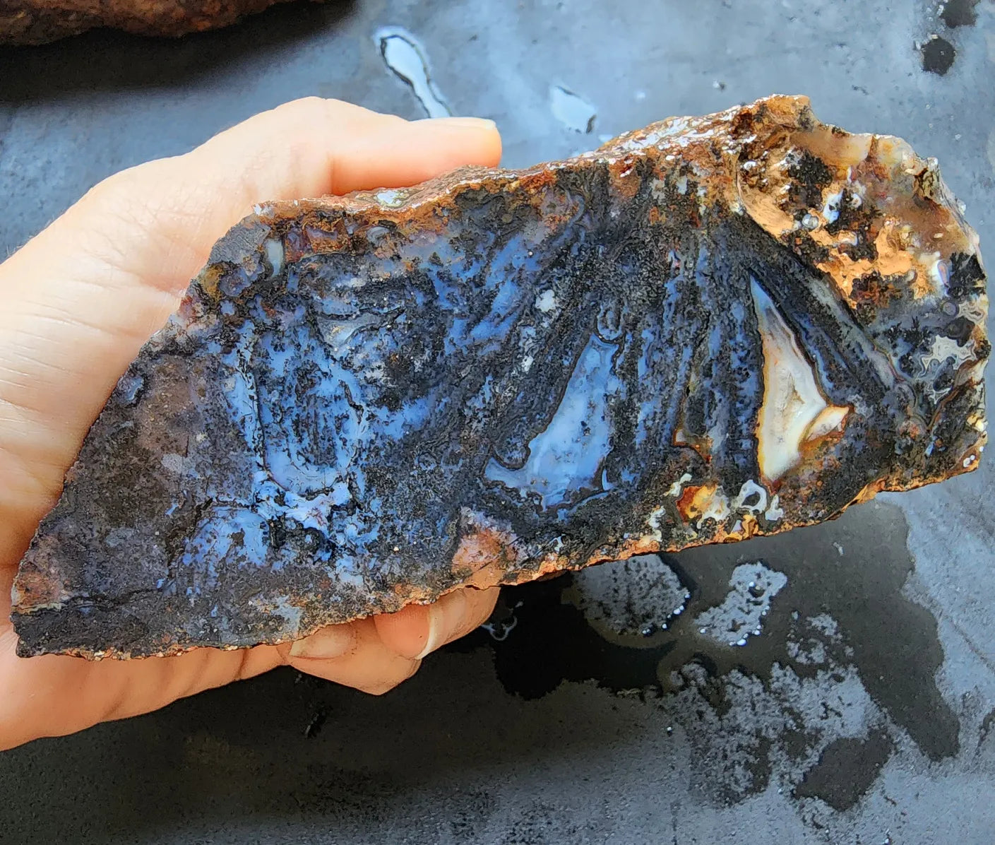 Dendritic Blue Agate