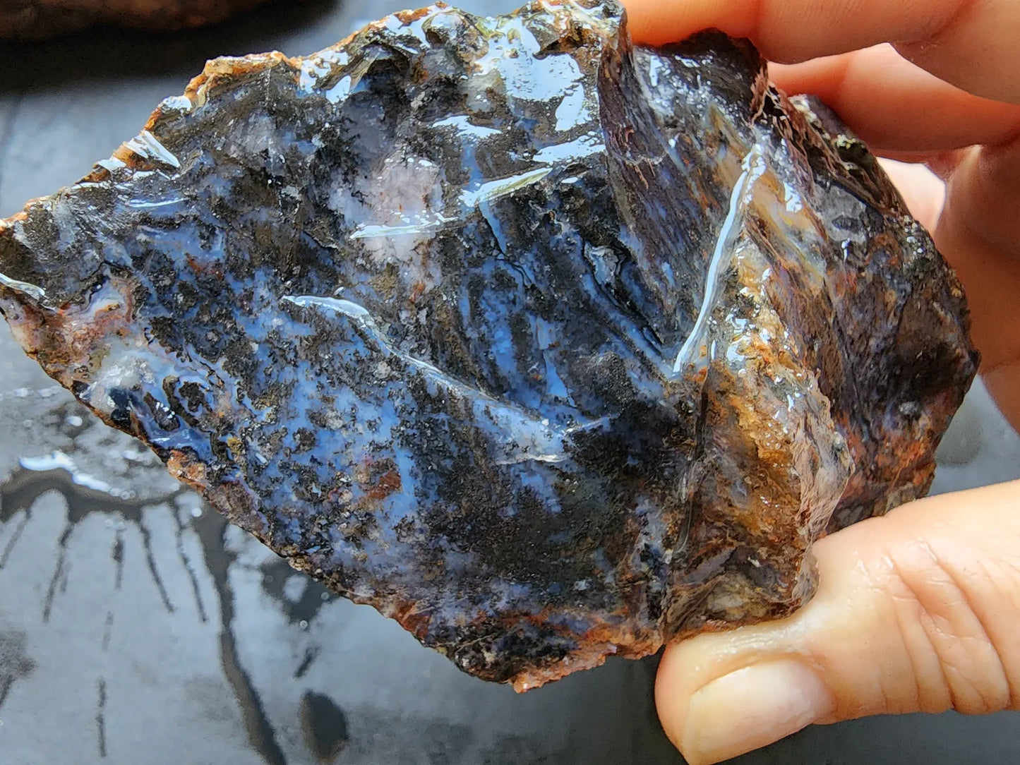Dendritic Blue Agate